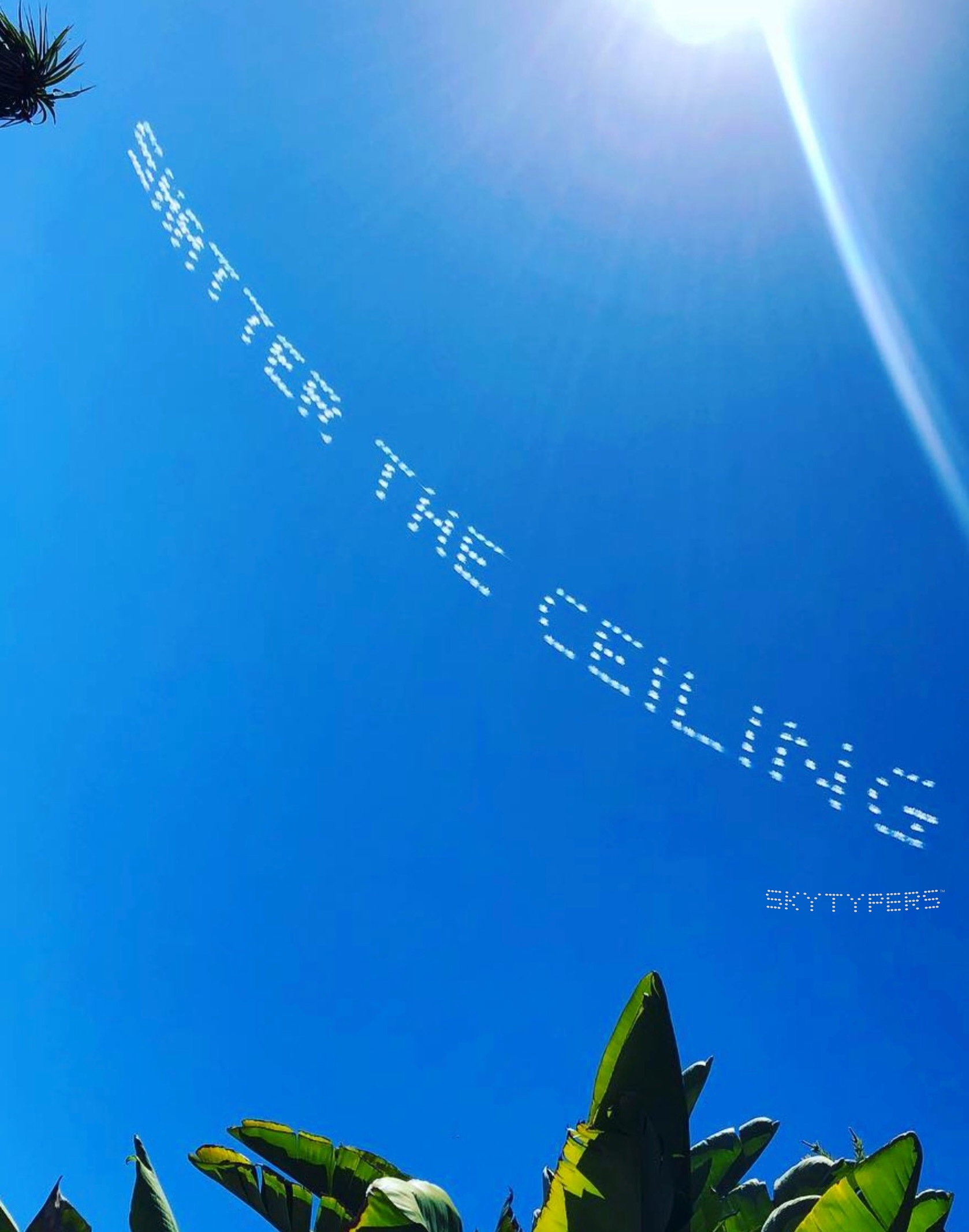 Shatter the Ceiling spelled in white dot-matrix skytyping above green tropical leaves.