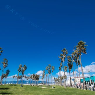 VENICE, CALIFORNIA - MARCH 08: A general view of the atmosphere at Venice Beach on March 08, 2019 in Venice, California. (Photo by Emma McIntyre/Getty Images for Old Navy)